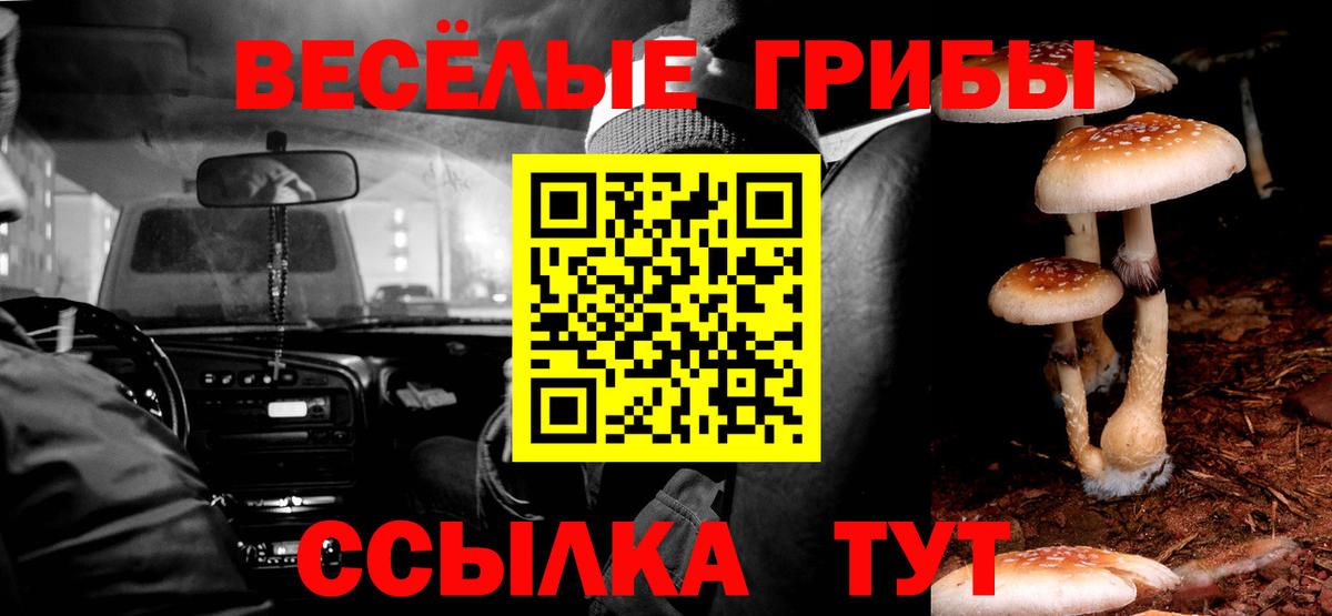 Псилоцибиновые грибы Cubensis  Вход с VPN  Чебаркуль 